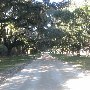 Boone Hall Plantation (December Looks)