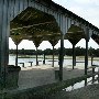 Boone Hall Plantation (October Looks)