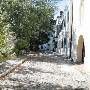 Gillon Street November 2010
