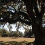 Hampton Plantation State Park