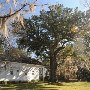 Hampton Plantation State Park