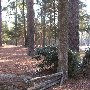 Chester State Park