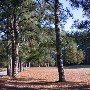 Chester State Park