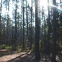 Chester State Park