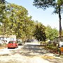 Alpine Regency Mobile Home Community