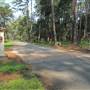 Daufuskie Island - Cedar Grove Area