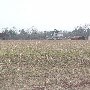 Joe Rast Property
