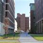 MUSC - Quad