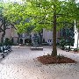 College of Charleston - Walkway (Randolf Hall to Calhoun Street)