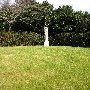 Gardens of Charleston - Middleton Place in January 2010