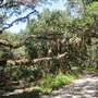 Botany Bay - Middle Dike Road