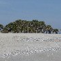 Edisto Beach State Park - North End