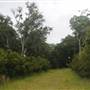 Stono River Stables - Hut Grove
