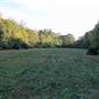 Mepkin Abbey Cotton Fields & Graveyard