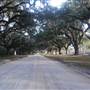 Boone Hall Plantation - Avenue of Oaks (Jan 2013)