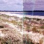 Morris Island Lighthouse