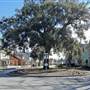 Oak Terrace Preserve Neighborhood (Celtic Drive)