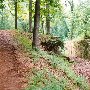 Landsford Canal State Park