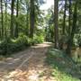 Edisto Gardens - River Bike Trail