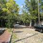 Maiden Lane - Charleston Cobblestone Street