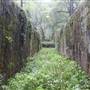 Landsford Canal State Park
