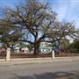 Philip Simmon's Park