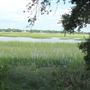 Bowens Island Landing
