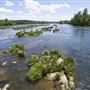 Landsford Canal State Park