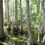 Woods Bay State Park