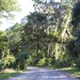 Hunting Island - Maintenance Area 2011