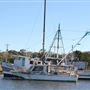 Shem Creek Docks - December 2018