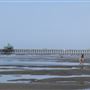 Folly Pier - Overview Entire Area