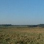 Darby Farms - Pastures