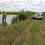 Harrietta Plantation - Dikes Settings (August 2019)