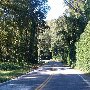 Greenville Watershed