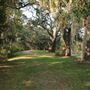 Windsor Plantation - Roads / Fields / Woods