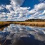 Donnelley Wildlife Management Area