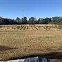 Toogoodoo Tree Farm