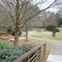 Glencairn Gardens