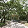 The Battery - Park area