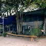 The Shrimp Shack