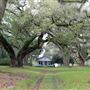 Encampment Plantation