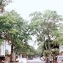 Charleston - General Overview