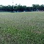 Georgetown High School Baseball Stadium