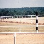 Festoon Farms