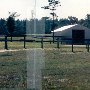 Palmetto Farms