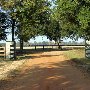 Stable on the Woods