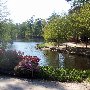 Swan Lake Iris Gardens