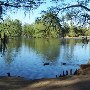 Swan Lake Iris Gardens