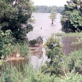 Russellville Landing